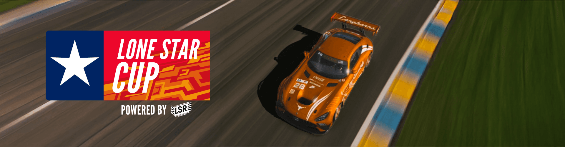 LSC Landscape Banner